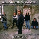 Lemur Voice/Insights